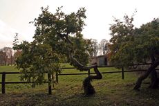 B-Herbststimmung 035.jpg